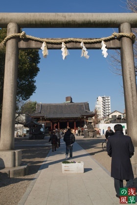 20090202_p2024791