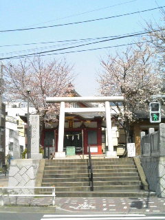 桜咲く浅間神社