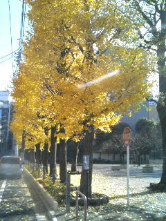 浅草 花川戸公園