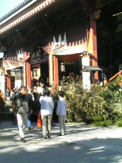 浅草寺本堂前の松飾り